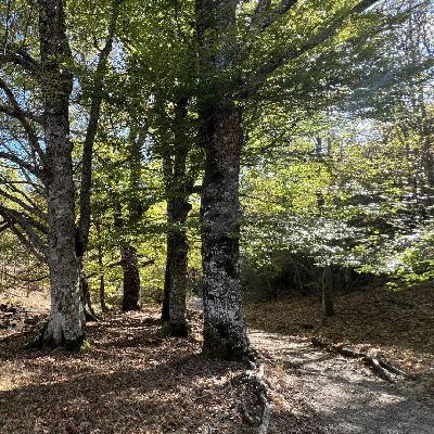 En clave Turismo - La Sierra del Rincón, un tesoro madrileño más allá del otoño - 31/10/25