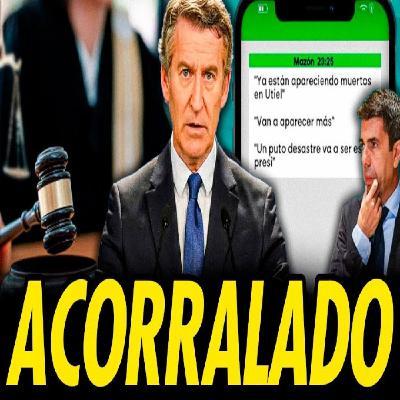 LA JUEZA DE LA DANA EXIGE LOS MENSAJES DE FEIJÓO Y SE CAE EL RELATO DEL PP LA JUEZA DE LA DANA EXIGE LOS MENSAJES DE FEIJÓO Y SE CAE EL RELATO DEL PP