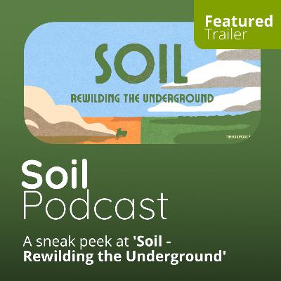 A sneak peek at 'Soil - Rewilding the Underground'