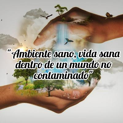 AMBIENTE SANO, VIDA SANA DENTRO DE UN MUNDO NO CONTAMINADO