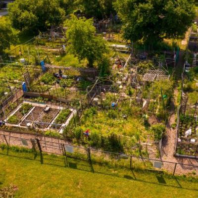 How communities grow How communities grow