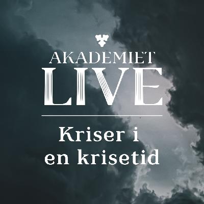 Kriser i en krisetid