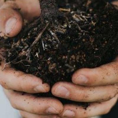 Compartilhando: a meditação com a mãe terra. Compartilhando: a meditação com a mãe terra.