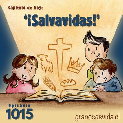 #1015 ¡Salvavidas!