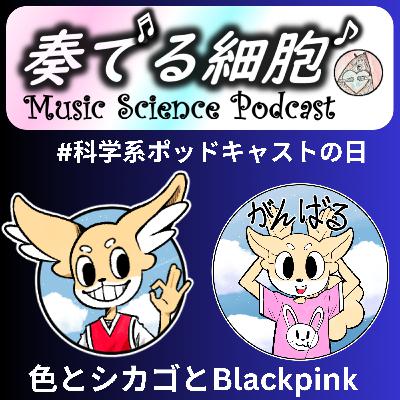 3-41. 共通テーマ「色」　ブラックピンクと色に関わる過去エピソード　　⁠⁠⁠⁠#科学系ポッドキャストの日⁠⁠⁠⁠⁠　＃FA_Radio　#Blackpink #Chicago