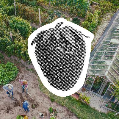 Harvesting Hope in Community Gardens Harvesting Hope in Community Gardens