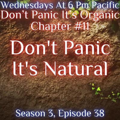 Gardens The Untold Story: Don’t Panic It’s Natural