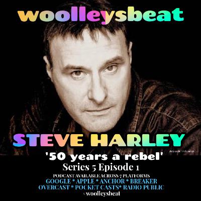 50 Years A Rebel - Steve Harley