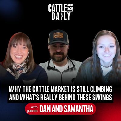288: Why the Cattle Market Is Still Climbing and What’s Really Behind the Swings 288: Why the Cattle Market Is Still Climbing and What’s Really Behind the Swings