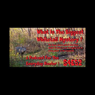 The biggest whitetail mystery?  s4e52