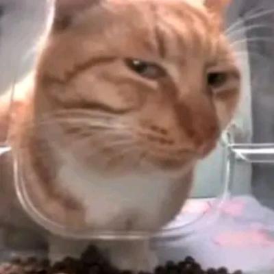 Storytime - Ojo de loca no se equivoca