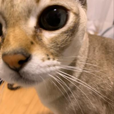 #1202 1100回台の目次② from Radiotalk #1202 1100回台の目次② from Radiotalk