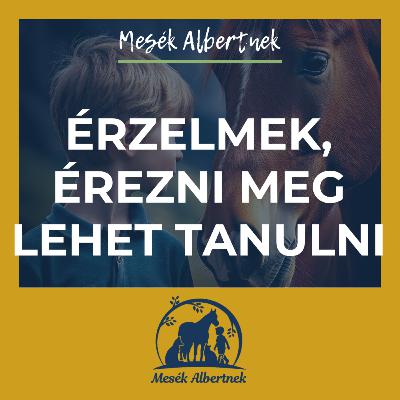 Érzelmek, érezni meg lehet tanulni Érzelmek, érezni meg lehet tanulni
