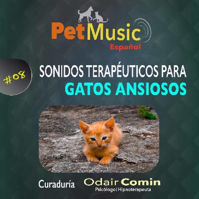 #08 Sonidos Terapéuticos para Gatos Ansiosos #08 Sonidos Terapéuticos para Gatos Ansiosos