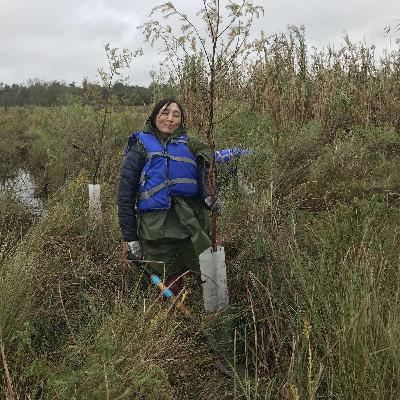Climate Cast - German episode on bogs and toads - Unken und Moore (in German) Climate Cast - German episode on bogs and toads - Unken und Moore (in German)