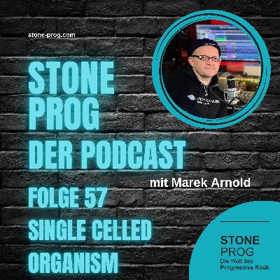 #57 | SINGLE CELLED ORGANISM