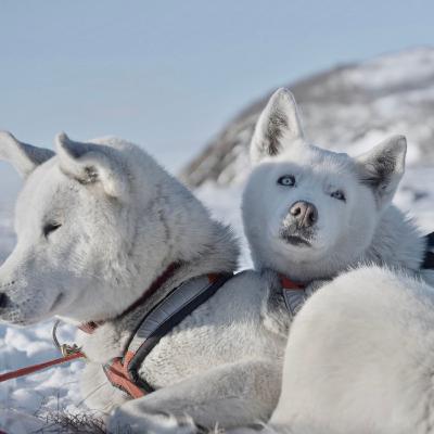 Chapter 8: The Run to Ruby
