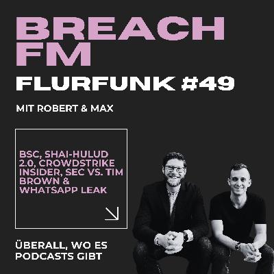 Flurfunk - BSC, Shai-Hulud 2.0, Crowdstrike Insider, SEC vs. Tim Brown & WhatsApp Leak