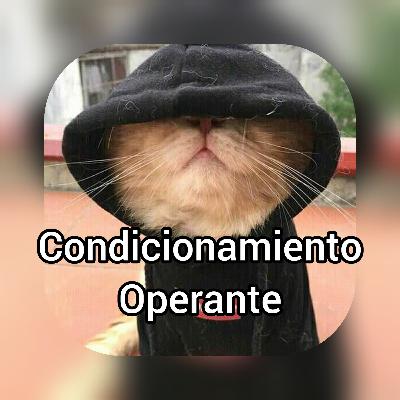 Condicionamiento operante