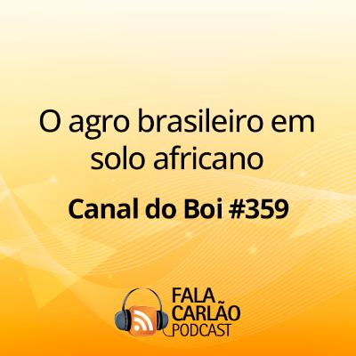 O agro brasileiro em solo africano | Canal do Boi #359