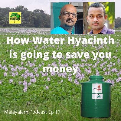 How Water Hyacinth is going to Save you Money - Kerala's Social Entrepreneurs explain