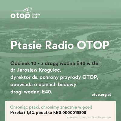 Dr Jarosław Krogulec o drodze wodnej E40, wpływie na przyrodę, stosunki wodne oraz możliwości lub też niemożliwości przeprowadzenia skutecznych kompensacji przyrodniczych