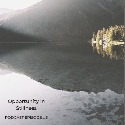 Opportunity in Stillness