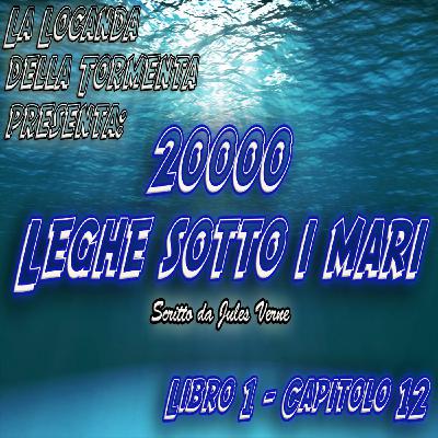 20000 Leghe sotto i mari - Parte 1 - Capitolo 12