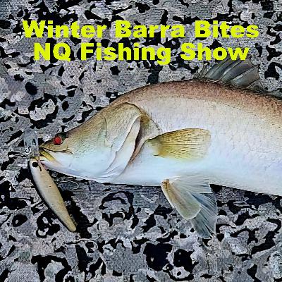 Winter Barra Bites NQ Fishing Show