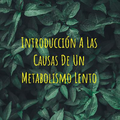 Cándida albicans y su relación con los carbohidratos refinados