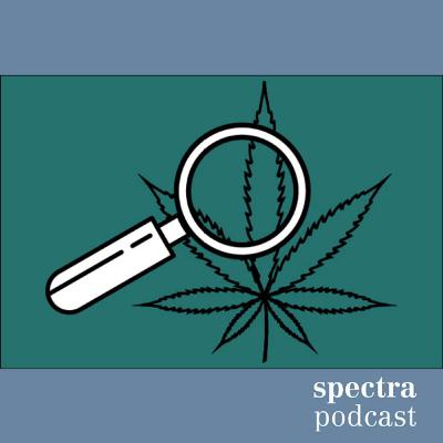 Podcast N°15: Cannabis-Pilotversuche – Neue Wege in der Suchtpolitik Podcast N°15: Cannabis-Pilotversuche – Neue Wege in der Suchtpolitik