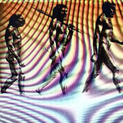 Evolução Evolução