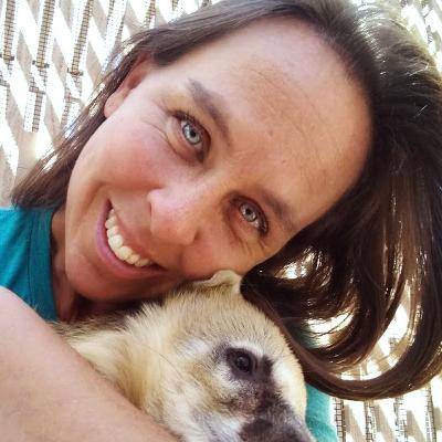 Rehabilitating native wildlife – Laura Hackett