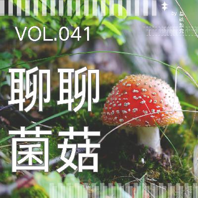 041.博士后带你逛超市:盒马山姆的蘑菇,哪些值得放进购物车? 041.博士后带你逛超市:盒马山姆的蘑菇,哪些值得放进购物车?