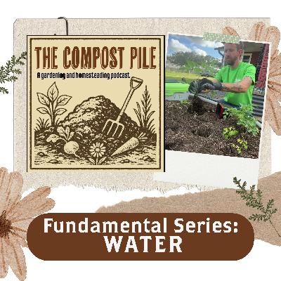 The Organic Gardening Fundamental Series: Best Watering Practices