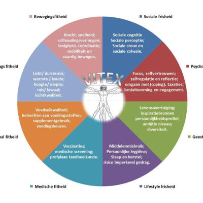 Hoe ziet VITEX een ‘Gym’? Hoe ziet VITEX een ‘Gym’?