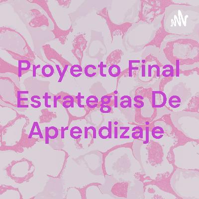 Proyecto Final Estrategias de Aprendizaje