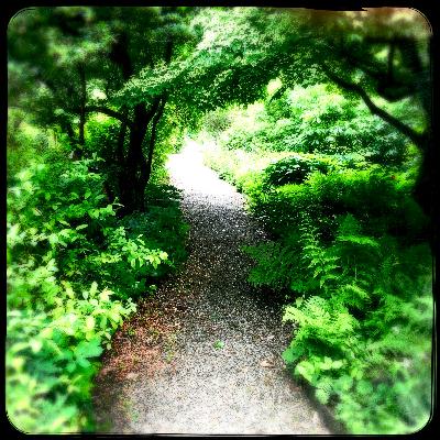 Walk into Peace Walk into Peace