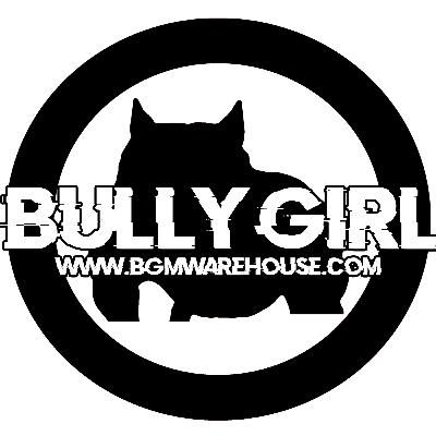 10 Years in the Game: How to Build a Bully LEGACY 10 Years in the Game: How to Build a Bully LEGACY