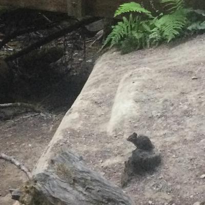 S1E18 - Discipline: How Do We Teach Ourselves?