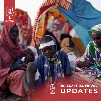 Massacre in Sudan's Darfur region, Ceasefire uncertainty in Gaza