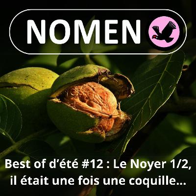 BEST OF D'ÉTÉ #12 : Le Noyer 1/2, briser la glace… avec une coquille de la noix
