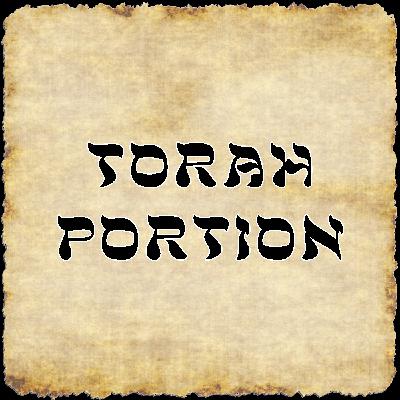 Torah Portion for 11/08/2025