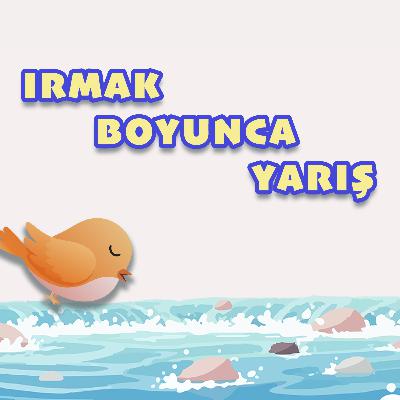 MİNİK KUŞ'UN GÜNLÜĞÜ: IRMAK BOYUNCA YARIŞ - UYKU ÖNCESİ MASAL VE NİNNİ
