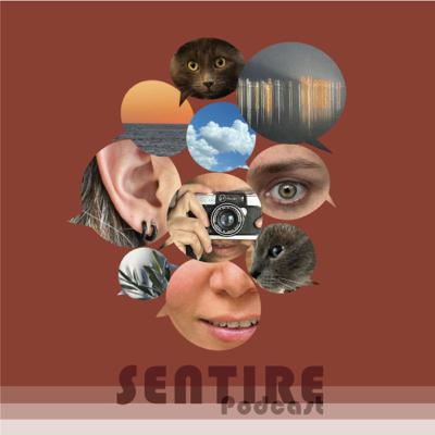 SENTIRE PODCAST MID SEASON