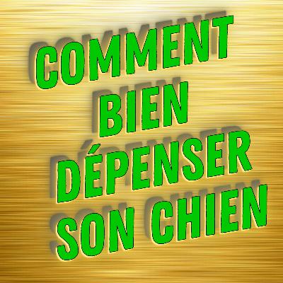 COMMENT BIEN DÉPENSER SON CHIEN