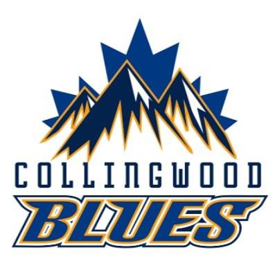 David Steele -Collingwood Blues Hockey Update on Summer Activity