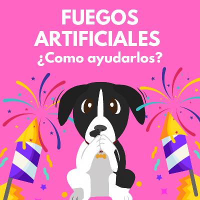Fuegos artificiales ¿Como calmar a nuestro perro?