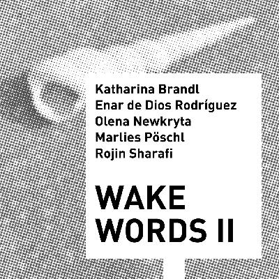 06 Wake Words II