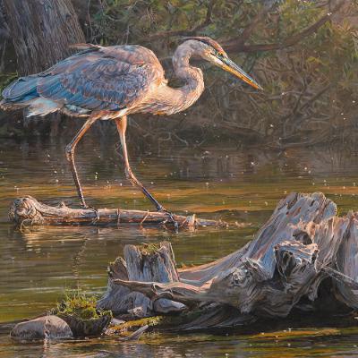 Local art museum opens new “Art & the Animal” exhibit Local art museum opens new “Art & the Animal” exhibit